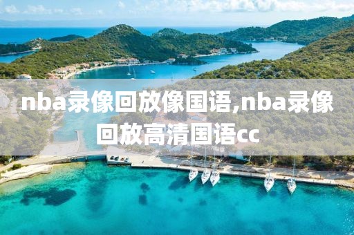 nba录像回放像国语,nba录像回放高清国语cc