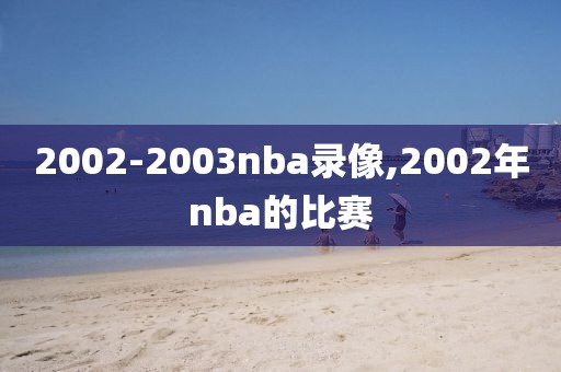 2002-2003nba录像,2002年nba的比赛