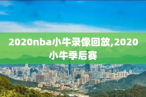 2020nba小牛录像回放,2020小牛季后赛