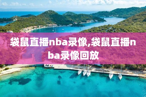 袋鼠直播nba录像,袋鼠直播nba录像回放