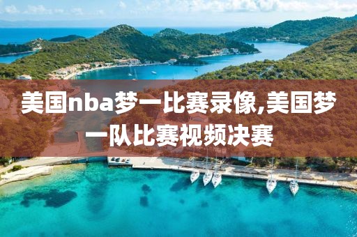 美国nba梦一比赛录像,美国梦一队比赛视频决赛