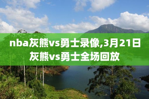 nba灰熊vs勇士录像,3月21日灰熊vs勇士全场回放