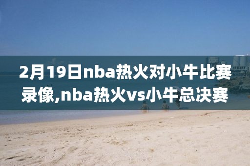 2月19日nba热火对小牛比赛录像,nba热火vs小牛总决赛