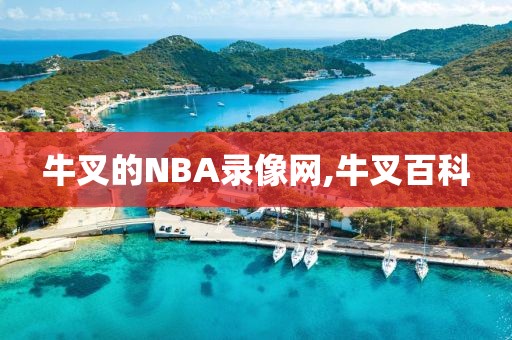 牛叉的NBA录像网,牛叉百科