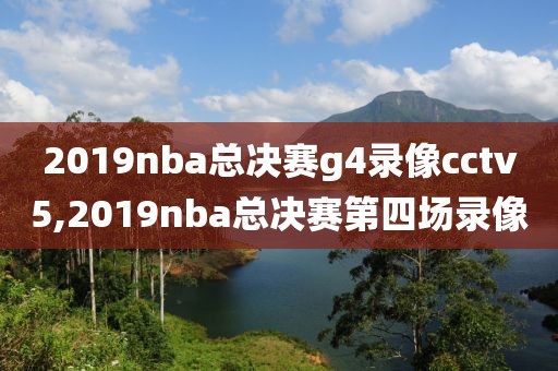 2019nba总决赛g4录像cctv5,2019nba总决赛第四场录像