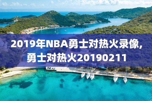 2019年NBA勇士对热火录像,勇士对热火20190211