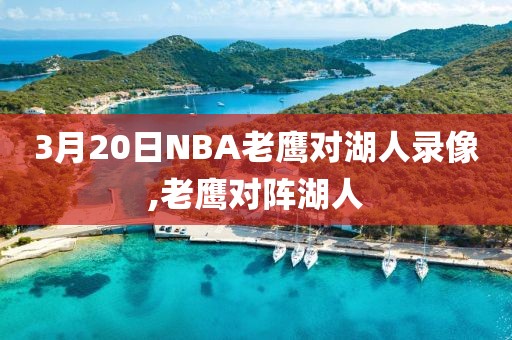 3月20日NBA老鹰对湖人录像,老鹰对阵湖人