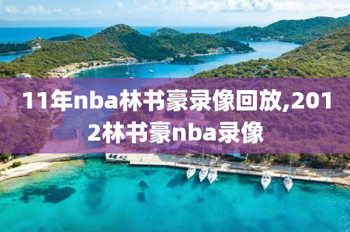 11年nba林书豪录像回放,2012林书豪nba录像