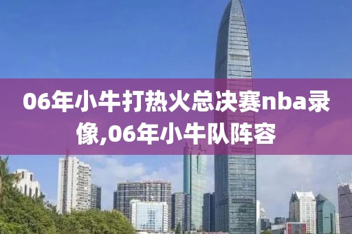 06年小牛打热火总决赛nba录像,06年小牛队阵容