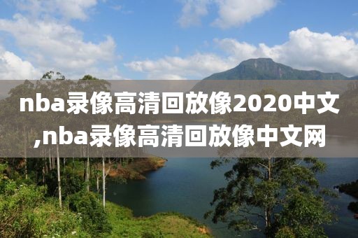 nba录像高清回放像2020中文,nba录像高清回放像中文网