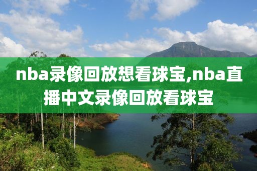 nba录像回放想看球宝,nba直播中文录像回放看球宝