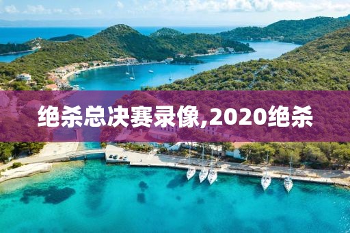 绝杀总决赛录像,2020绝杀