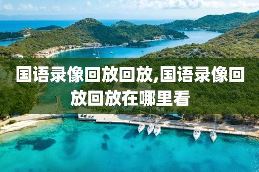 国语录像回放回放,国语录像回放回放在哪里看