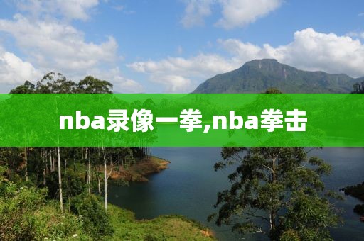 nba录像一拳,nba拳击