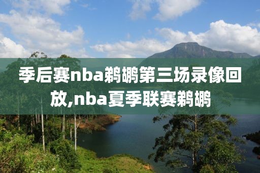 季后赛nba鹈鹕第三场录像回放,nba夏季联赛鹈鹕