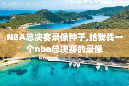 NBA总决赛录像种子,给我找一个nba总决赛的录像