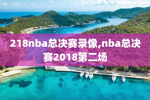 218nba总决赛录像,nba总决赛2018第二场