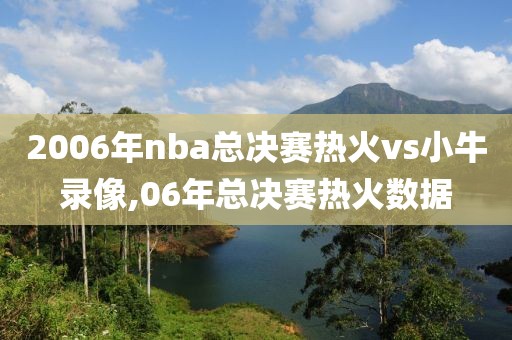 2006年nba总决赛热火vs小牛录像,06年总决赛热火数据