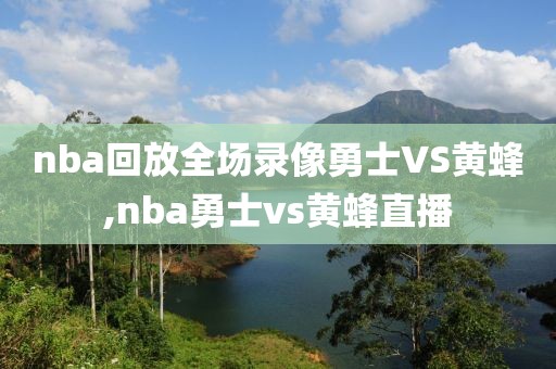 nba回放全场录像勇士VS黄蜂,nba勇士vs黄蜂直播