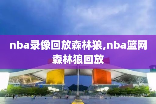 nba录像回放森林狼,nba篮网森林狼回放
