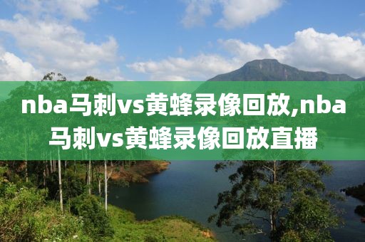 nba马刺vs黄蜂录像回放,nba马刺vs黄蜂录像回放直播