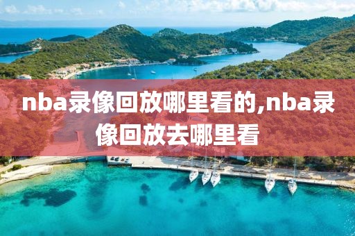 nba录像回放哪里看的,nba录像回放去哪里看