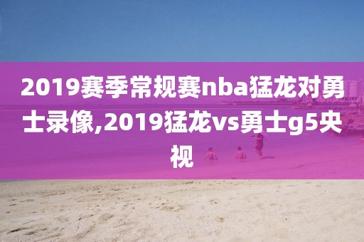 2019赛季常规赛nba猛龙对勇士录像,2019猛龙vs勇士g5央视