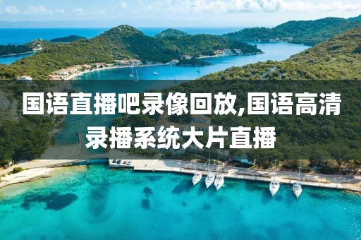 国语直播吧录像回放,国语高清录播系统大片直播