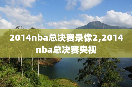 2014nba总决赛录像2,2014nba总决赛央视