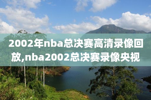 2002年nba总决赛高清录像回放,nba2002总决赛录像央视