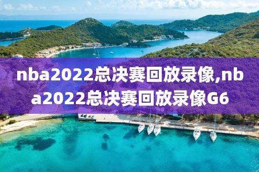 nba2022总决赛回放录像,nba2022总决赛回放录像G6