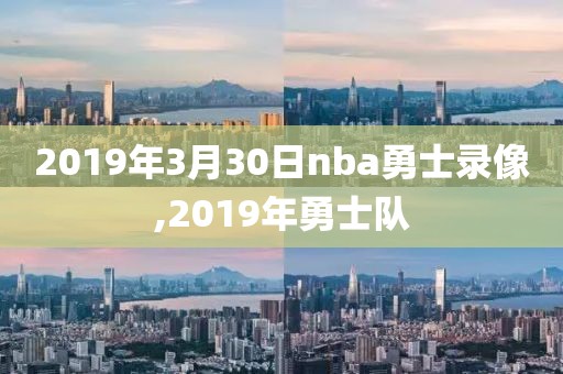 2019年3月30日nba勇士录像,2019年勇士队