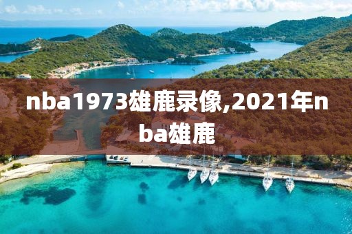 nba1973雄鹿录像,2021年nba雄鹿