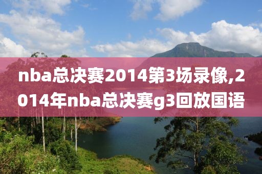 nba总决赛2014第3场录像,2014年nba总决赛g3回放国语