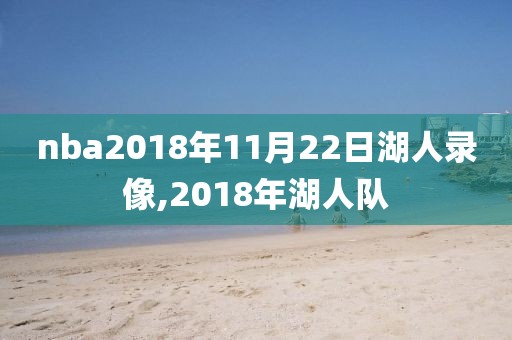 nba2018年11月22日湖人录像,2018年湖人队