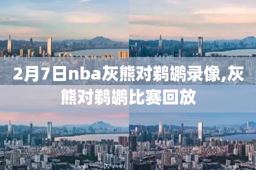 2月7日nba灰熊对鹈鹕录像,灰熊对鹈鹕比赛回放