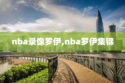 nba录像罗伊,nba罗伊集锦