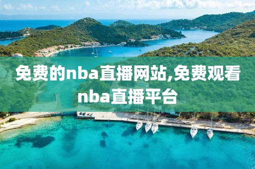 免费的nba直播网站,免费观看nba直播平台