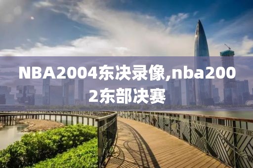 NBA2004东决录像,nba2002东部决赛