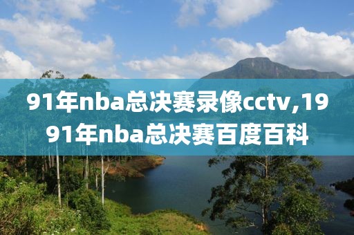 91年nba总决赛录像cctv,1991年nba总决赛百度百科