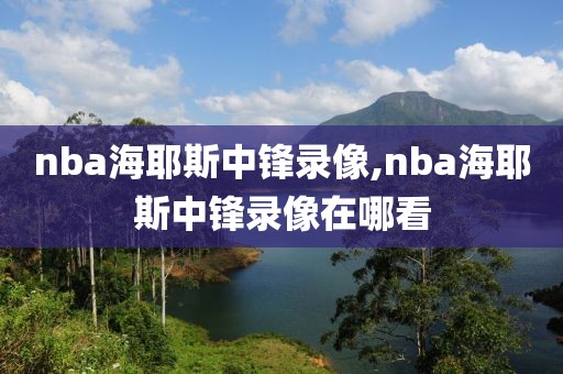 nba海耶斯中锋录像,nba海耶斯中锋录像在哪看