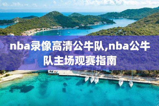 nba录像高清公牛队,nba公牛队主场观赛指南