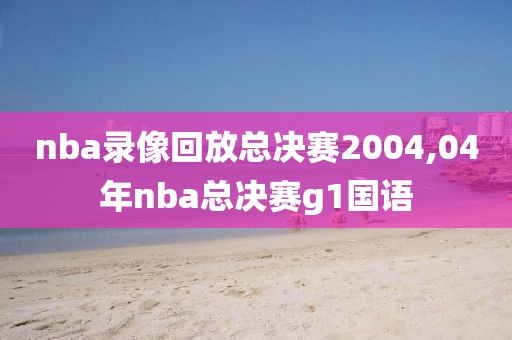 nba录像回放总决赛2004,04年nba总决赛g1国语