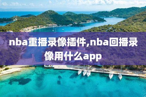 nba重播录像插件,nba回播录像用什么app