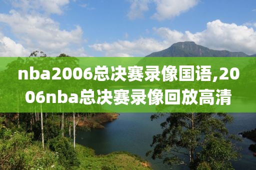 nba2006总决赛录像国语,2006nba总决赛录像回放高清