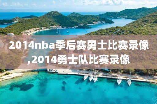 2014nba季后赛勇士比赛录像,2014勇士队比赛录像