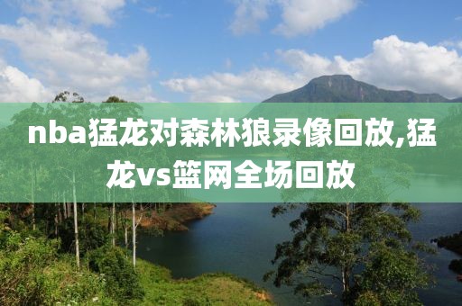 nba猛龙对森林狼录像回放,猛龙vs篮网全场回放