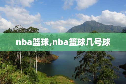 nba篮球,nba篮球几号球