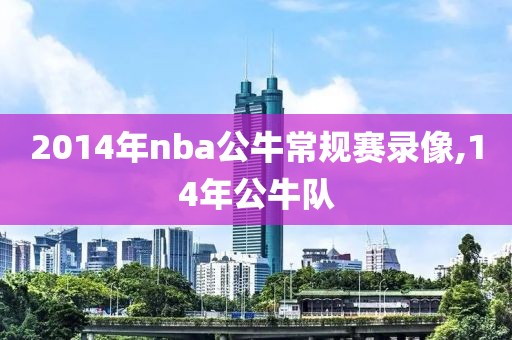 2014年nba公牛常规赛录像,14年公牛队