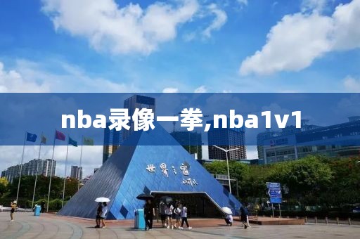 nba录像一拳,nba1v1